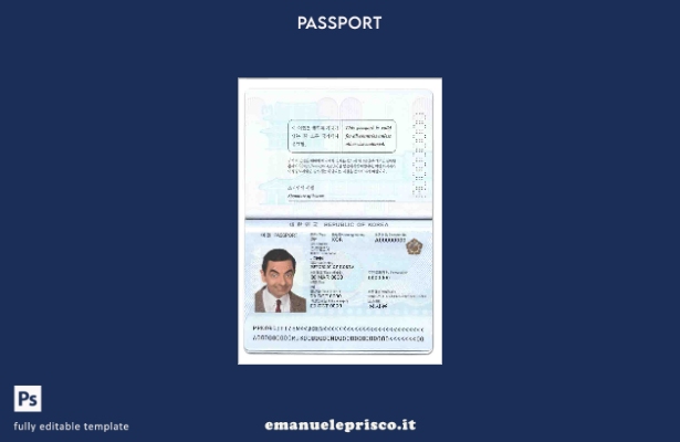 modello di passaporto della Corea del Sud in stile verificato